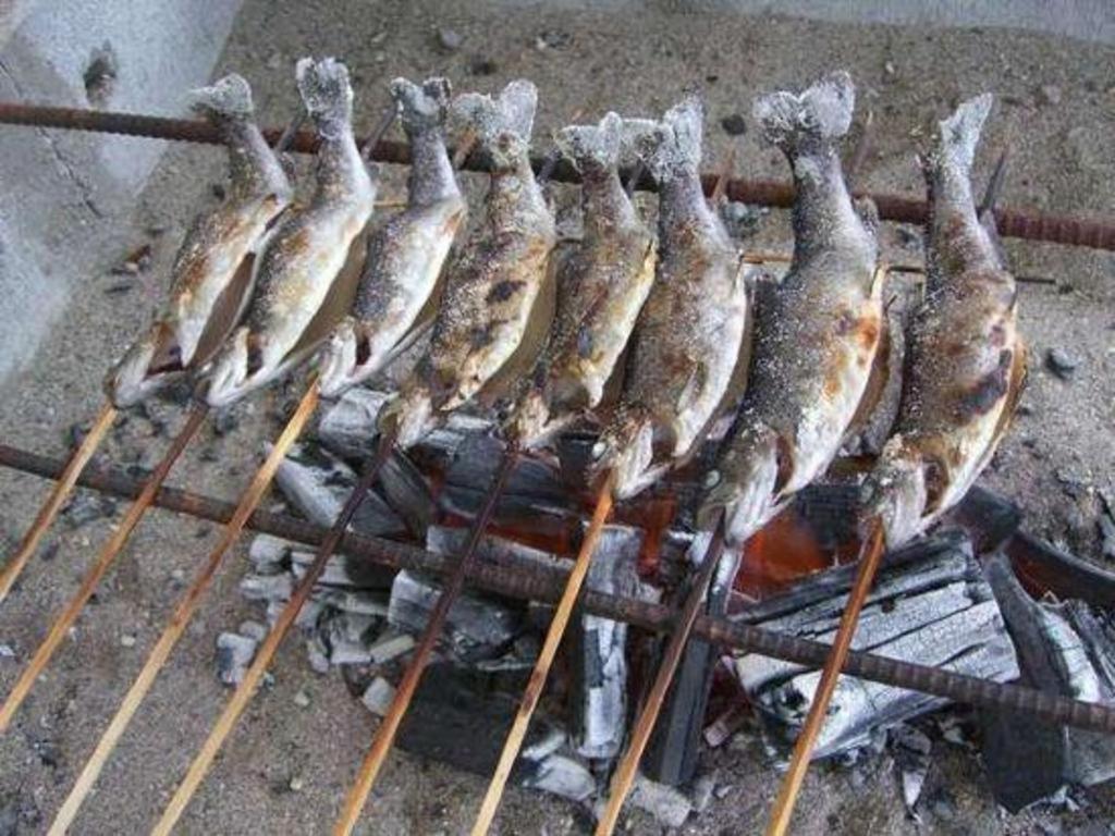 فندق كينوجاوا نيوسون بلازا نيكو المظهر الخارجي الصورة